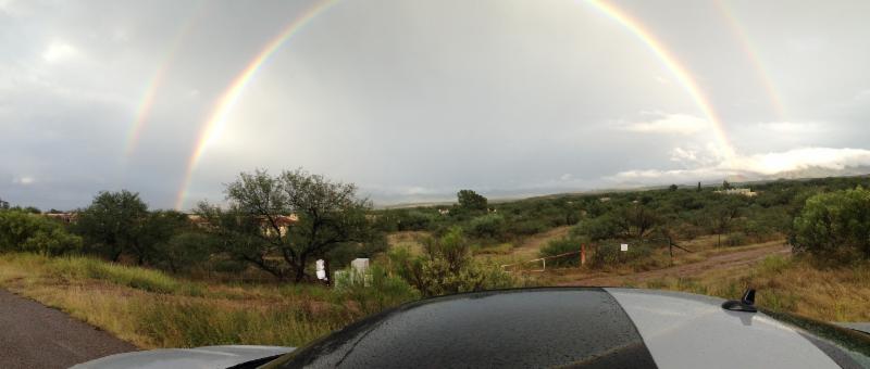 Living Joyfully: Making Now the Best Time